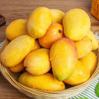 [熊猫鸟]小台农芒果 9斤 单果50-70g 新鲜现摘小台芒应当季时令水果整箱