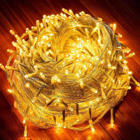 led闪灯 满天星户外家用氛围圣诞节过年装饰灯 暖白-20米200灯(插电遥控款)