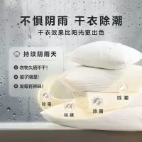 美的(Midea)烘干机 家用热泵式干衣机 10公斤 紫外线除菌 除螨除潮 祛除宠物毛发 MH100VH03Y