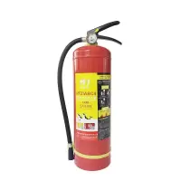 虎鲸安 手提式干粉灭火器 4KG MFZ/ABC4 单位:个