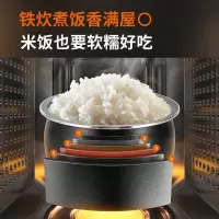 九阳(Joyoung)电饭煲铁釜内胆IH电磁加热智能预约多功能柴火饭电饭锅F30T-F372