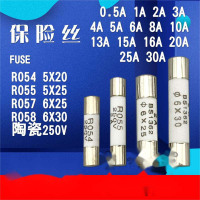 陶瓷保险丝 RO55 250V/6A 起订量100个