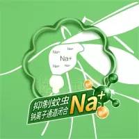 TENDZONE 电蚊香液驱蚊液蚊香液大容量