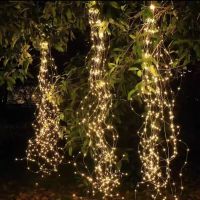 阿雷佐 12V2米200灯马尾灯含电源暖黄(BY)/串