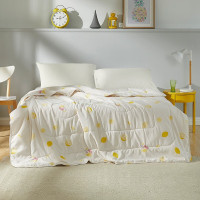 罗莱 假日柠檬防螨抗菌可水洗 空调被 FX-JRNM200H