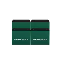 电动车电池电瓶车铅酸蓄电池 48V20AH(4只装)
