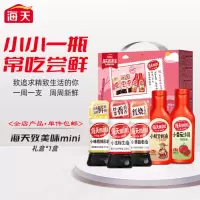 海天-致美味mini调味品礼盒套装(中华老字号)