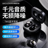 巴赫约翰 bachjohann真无线蓝牙耳机T3(黑色、银色、紫色 默认随机发货)