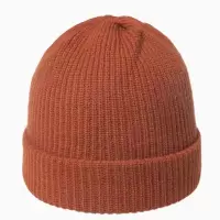 TP6387 情侣针织毛线帽子女秋冬季纯色光板保暖套头冷帽男护耳帽保暖帽 桔色