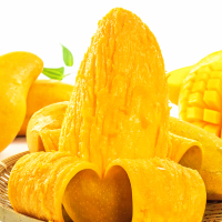 [熊猫鸟]新鲜金煌芒 一级果 净重8.5斤 大果 单果400g以上 热带水果