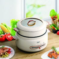 企业定制 先科电炖锅多功能小锅家用电煮锅电热火锅