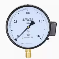 卜邻 远传压力表 YTZ-150 0-1MPa.
