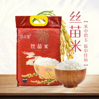 云上俏丝苗米 5kg