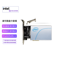 英特尔 固态硬盘 企业级SSD U.2接口 1T
