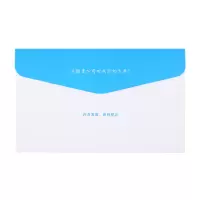 递乐(DiLe ) 4604 增值税专用信封财务票据办公用品 信封袋50个/包(2包装)