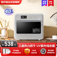 方帅(FOHUAI)消毒柜家用小型公寓式厨房迷你台式碗筷杯子紫外线消毒碗柜免沥水40升