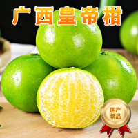 [西沛生鲜]广西 皇帝柑 带箱9斤 中果 单果50-55mm 新鲜时令水果当季整箱保养蜜桔贡柑沃柑