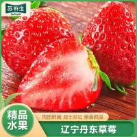 [苏鲜生]顺丰快递 辽宁丹东99牛奶草莓 中果 净重1.8斤 单果20-30g 新鲜当季水果九九红颜奶油草莓