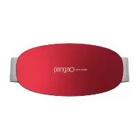 攀高(PANGAO) 腰部按摩器 腰部按摩热敷暖腹脉冲揉捏腰带按摩腰PG-2643RL