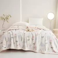 恒源祥 欧棉绒云毯 艺梦 180*200CM