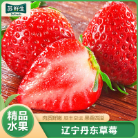[苏鲜生]顺丰快递 辽宁丹东99牛奶草莓 特大果 净重2.8斤 单果40-50g 新鲜当季水果九九红颜奶油草莓