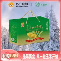 正宗东北甜糯玉米棒新鲜糯玉米棒 五色谷新鲜粘糯玉米 黄色糯玉米 10棒