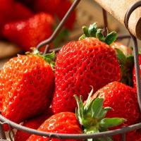 [熊猫鸟]顺丰快递 辽宁丹东99牛奶草莓 特大果 净重2.8斤 单果40-50g 新鲜当季水果 红颜奶油草