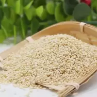 白芝麻5 00g