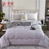 臻梦圆 MYB803水洗棉经典太空被200x230cm
