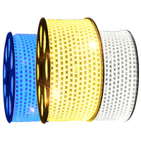 雷士照明 灯带 暖黄光[高亮款] 2835-8瓦/米-60珠单排 100米/卷 不含插头(单位:卷)