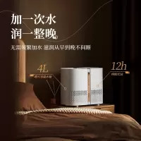 大宇(DAEWOO) 无雾空气加湿器家用卧室婴儿上加水大容量客厅办公室空调房净化恒湿蒸发式 增湿机 (H)