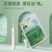 罗曼(ROAMAN) 电动牙刷成人情侣声波电动牙刷男士女士D30 E30
