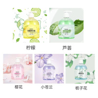 洗手液 花香抑菌洗手液 500ml/瓶