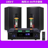 专业中小型会议室音响套装 内含1对10寸音箱(20-100平方使用)+D200蓝牙功放+YL08一拖二无线手持话筒