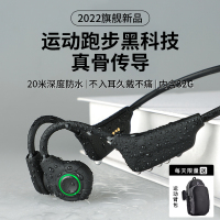 铂典(POLVCDG)骨传导耳机H20 pro黑色开放式不入耳运动耳机跑步游泳通话降噪防水防汗挂耳式超长续航