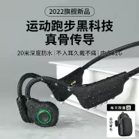 铂典(POLVCDG)骨传导耳机H20 pro黑色开放式不入耳运动耳机跑步游泳通话降噪防水防汗挂耳式超长续航