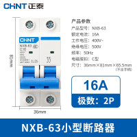 正泰(CHNT)小型断路器昆仑微型家用保护器NXB-63 2P 16A 10个装