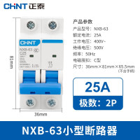 正泰(CHNT)小型断路器昆仑微型家用保护器NXB-63 2P 25A 10个装