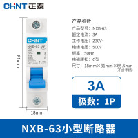 正泰(CHNT)小型断路器昆仑微型家用保护器NXB-63 1P 3A 10个装