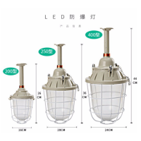 隔爆型防爆灯 BCD-2000 220V 200W 仓库 厂房照明 单位:台