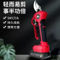 凯姿 电动修枝剪果树电剪刀充电式锂电无线电剪子3.2公分(二电一充)KZ320
