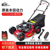 凯姿 GXV160自走本田动力割草机21寸汽油机打草机推草机KZ216SH草坪机
