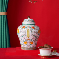 八马茶业(BAMA TEA)-多多益善·新会陈皮(2007)(新)-100克