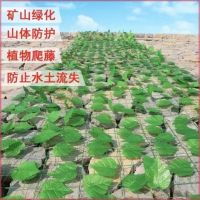 绿叶网2*30m 10道(单位:捆)