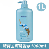 洗发水露乳液套装清爽控油薄荷青柠止痒去屑 洗发水1000ml