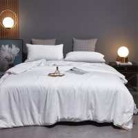 唐纳家纺(IDONNA)TN-SAQ21023提花蚕丝被-蚕丝被200×230cm