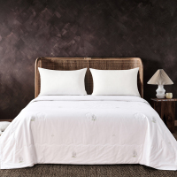 可欣(cosheen)01300091中国-吉祥蚕丝被200×230cm