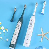 B韩国现代(HYUNDAI)MJT100声波电动牙刷(墨绿色、白色备注)