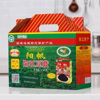 阳江豆豉阳帆调味料礼盒1600g