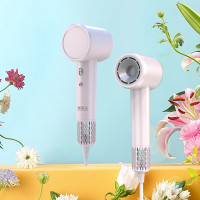 笨笨马(BenBenMa)高速吹风机BC01